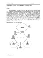 ỨNG DỤNG GIAO THỨC IGRP CHO MẠNG 3G