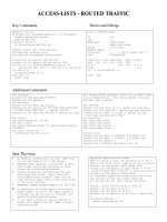 Access Lists for Routed Traffic