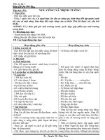 giáo án mới có KNS-lớp 5- 2010-2011