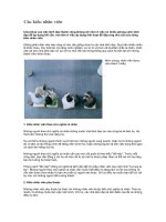 Các kiểu nhân viên