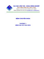 Bệnh hại cây rau màu