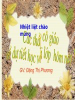 Thầy bói xem voi