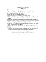 ĐE CUONG ON TAP SU6 10-11