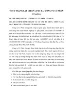 THỰC TRẠNG LẬP CHIẾN LƯỢC TẠI CÔNG TY CỔ PHẦN VINAPOL