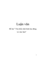 Luận văn: