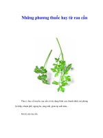 Những phương thuốc hay từ rau cần