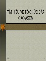 TÌM HIỂU VỀ TỔ CHỨC CẤP CAO ASEM