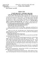 BAO CAO SO KET HKI 2010-2011