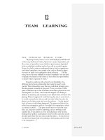 TEAM LEARNING