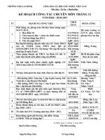 Kế hoạch tháng 11/2010