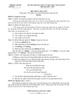 ĐỀ THI HỌC SINH GIỎI TV LỚP 5