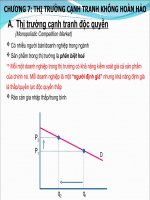 Chương 7; Thị trường cạnh tranh không hoàn hảo