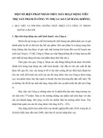 MỘT SỐ BIỆN PHÁP NHẰM THÚC ĐẨY HOẠT ĐỘNG TIÊU THỤ SẢN PHẨM Ở CÔNG TY NHỰA CAO CẤP HÀNG KHÔNG