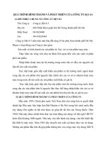 QUÁ TRÌNH HÌNH THÀNH VÀ PHÁT TRIỂN CỦA CÔNG TY DỆT 8-3