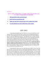 NHỮNG TIẾP CẬN ĐỐI VỚI SỰ CAN THIỆP CHÍNH SÁCH THƯƠNG MẠI CỦA NHỮNG NHÀ BẢO HỘ MẬU DỊCH MỚI