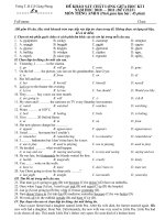 ĐỀ KHẢO SÁT GIỮA KÌ I  LỚP 8 - CÓ ĐÁP ÁN