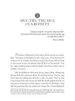 MỤC TIÊU THU MUA CỦA BUFFETT
