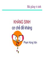 Kháng sinh_Cơ chế đề kháng