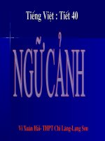 Ngữ Cảnh ( Tiết 40)