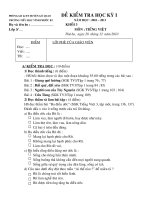 De kiem tra HKI lop 3 2010-2011