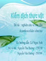 Mọt đậu trong nông sản