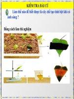 bai 21-tiet 23 Quang hop(tt)