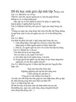 de thi hoc sinh gioi tieng viet 5 (cap tinh)