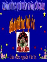 Môt thu qua cua lua non: Com