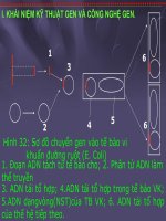 Công nghệ tế bào - Cực hay