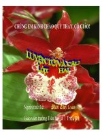 TỪ NGỮ VỀ TÌNH CẢM. DẤU PHẨY