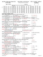 ĐỀ THI MÔN TIN KHỐI 10 HKI