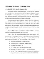 Tổng quan về Công ty TNHH Sao Sáng