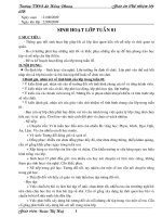 giáo án cn lớp
