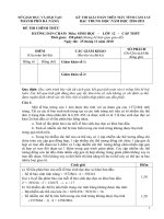 MTCT Sinh Da nang 2010-2011