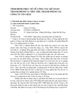 TÌNH HÌNH THỰC TẾ VỀ CÔNG TÁC KẾ TOÁN THÀNH PHẨM VÀ TIÊU THỤ THÀNH PHẨM TẠI CÔNG TY TÔ CHÂU