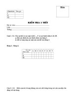 De KT 1 tiet CN 8(rat hay)