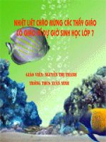 tiet 31- bai 31 ca chep