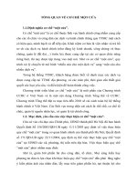 TỔNG QUAN VỀ CƠ CHẾ MỘT CỬA