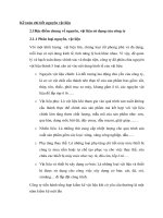 Kế toán chi tiết nguyên vật liệu