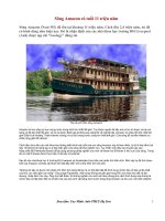 Sông Amazon có tuổi 11 triệu năm