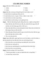 CÂU HỎI TRẮC NGHIỆM ATGT 2010