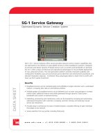 SG-1 Service Gateway