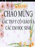 Lực hấp dẫn. Định luật van vật hấp dẫn(10CB)