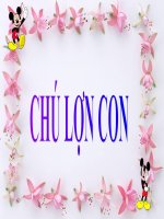 Quá trình phát triển của con lợn