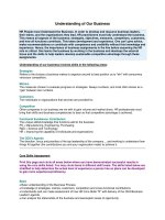 Understanding of Our Business