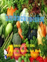 TNXH 1- Bài cây rau