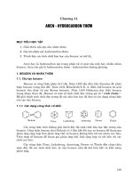AREN - HYDROCARBON THƠM