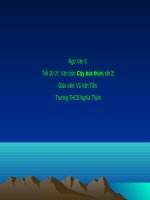 tiết 30-31: CÂY BÚT THẦN