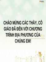 văn 8 chương trình địa phương - ma túy