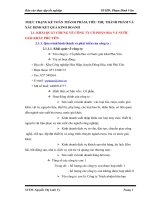 THỰC TRẠNG KẾ TOÁN THÀNH PHẨM, TIÊU THỤ THÀNH PHẨM VÀ XÁC ĐỊNH KẾT QUẢ KINH DOANH